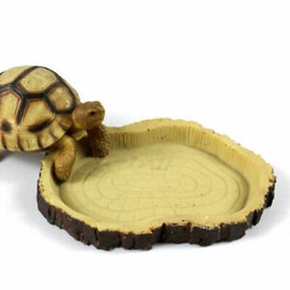 Resin Reptile Tortoise Feeding Bowl Food Water Dish Gecko Snake Vivarium Feeder Funny Small Animalls
