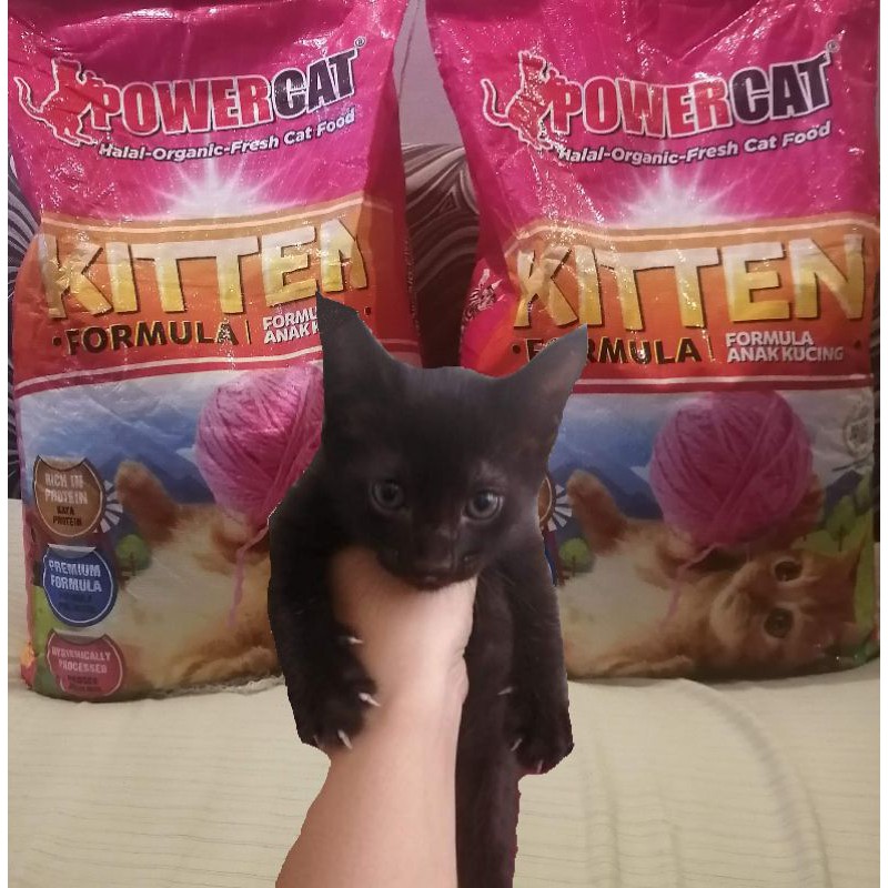 Power Cat Food Kitten REPACK Shopee Philippines