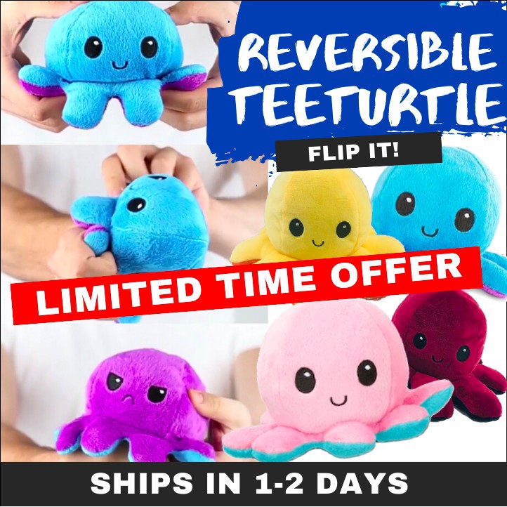 teeturtle octopus