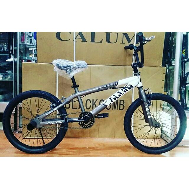 raleigh magnum bmx