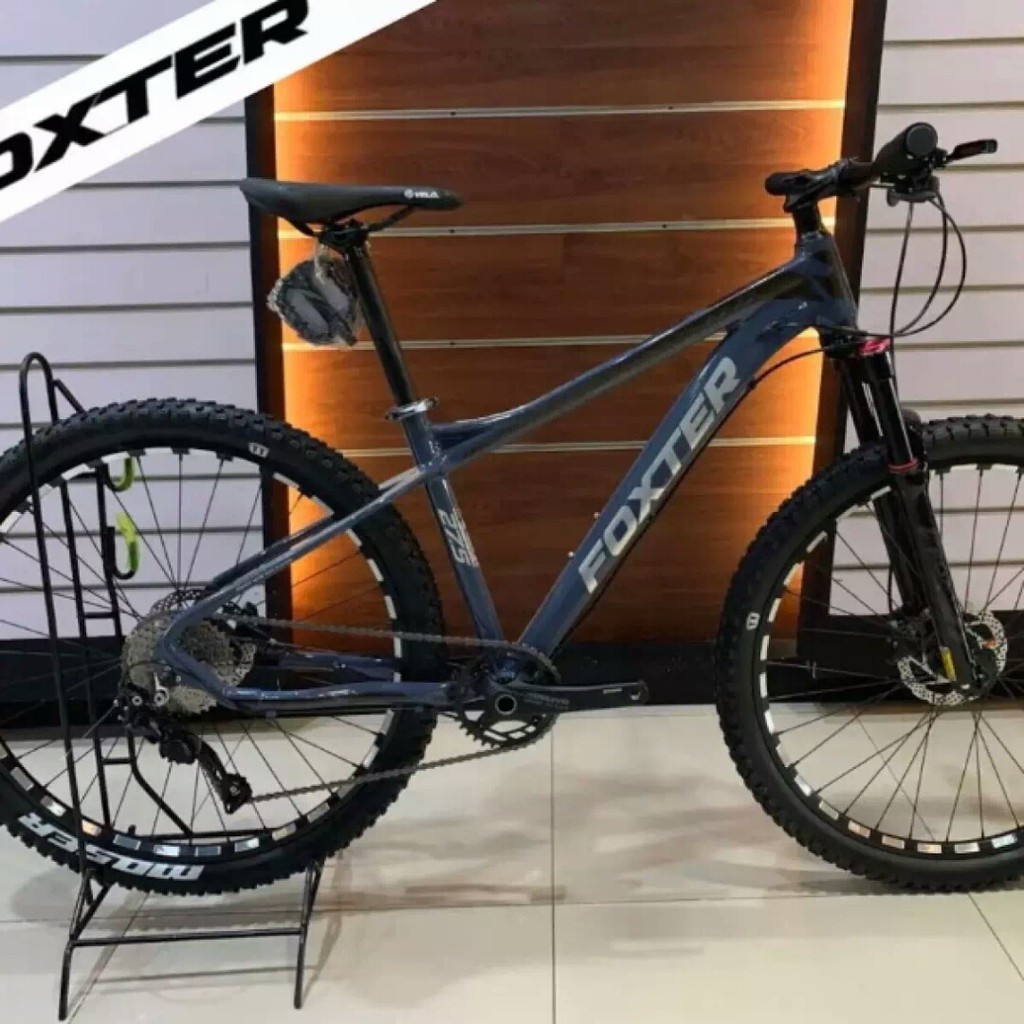 trek dual sport 2 women's 2019