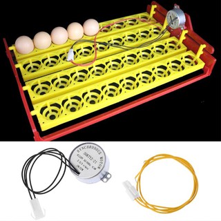 220V Incubator Motor Egg Turner Synchronous Motors For Chicken Incubator