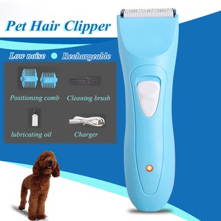 dog electric razor