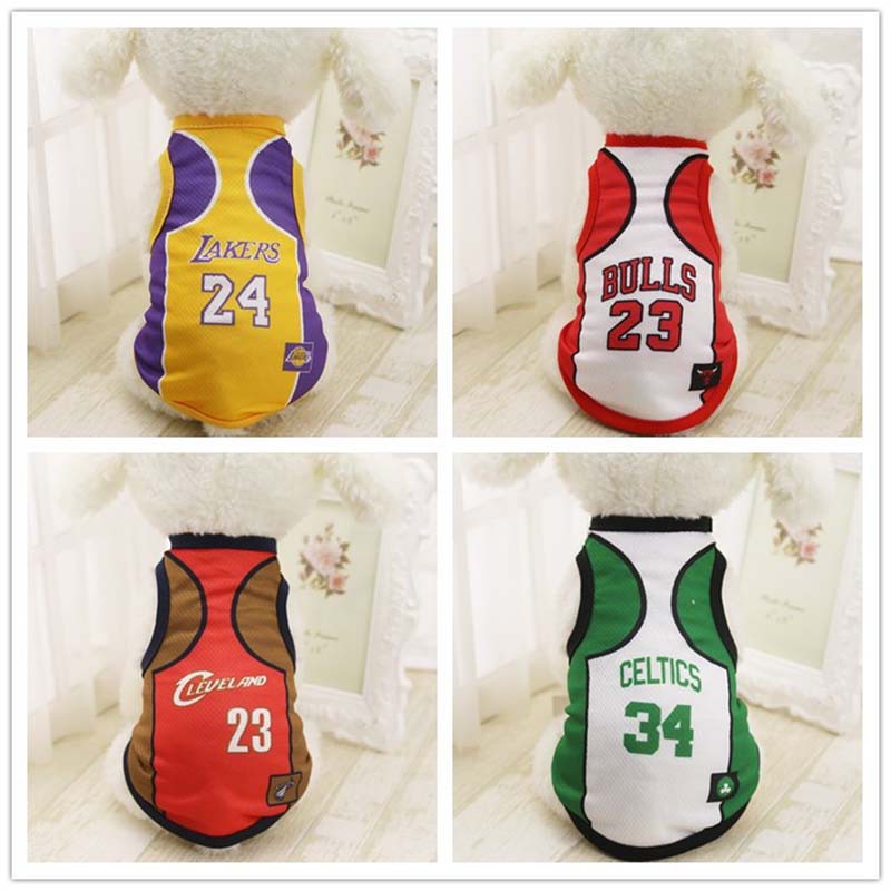 dog basketball jersey