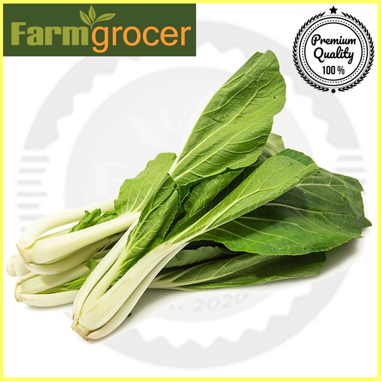 Fresh Native Pechay Vegetables Pechay alog Farm Grocer 500grams Shopee Philippines