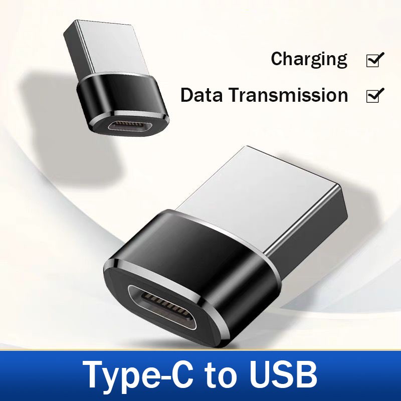 Type-C to USB iPhone 11 Pro Data Line Converter | Shopee Philippines