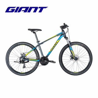 giant rincon 2020