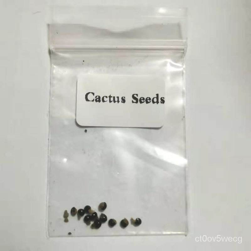 High quality seeds 10pcs Cactus Seeds Bonsai Perennial Rare Succulent Plants Office #SY053