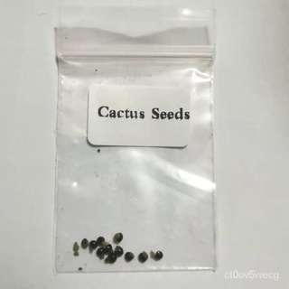 High quality seeds 10pcs Cactus Seeds Bonsai Perennial Rare Succulent Plants Office #SY053 #3