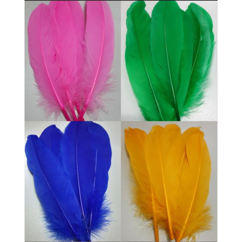 Colored Costume Feathers (5pcs) | Shopee Philippines