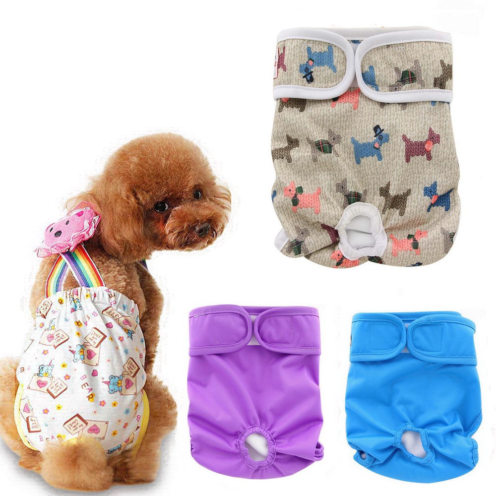 washable dog diapers