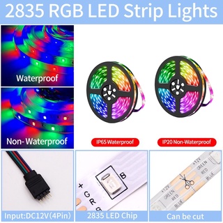 LED Strips Light RGB Strip Light 5M-20M Multiple Colour Light Flexible Light with Remote DC 12V