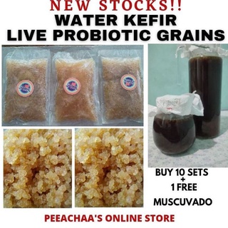 Water Kefir Grains probiotic grains and muscuvado manufacturer wholesale for vegan