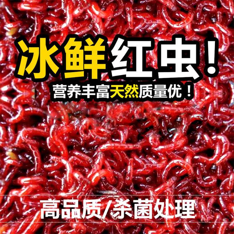 Frozen Red Worm Shrimp Blood Worm Worm Red Worm Guppy Colorful Dragon Map Goldfish Feed Fish Fry Ope #7