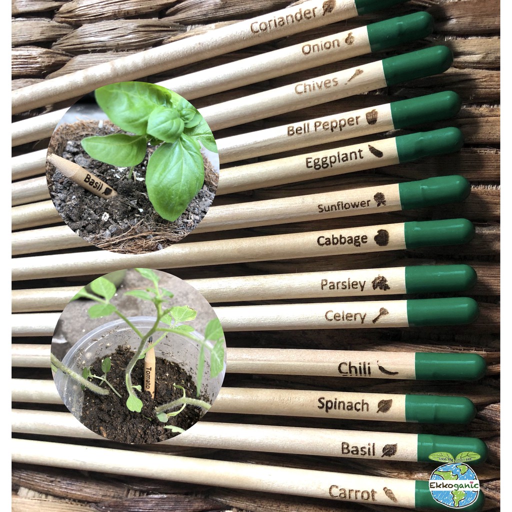 Plantable Pencil w/ engraved seed name (21 seed varieties) Eco seed