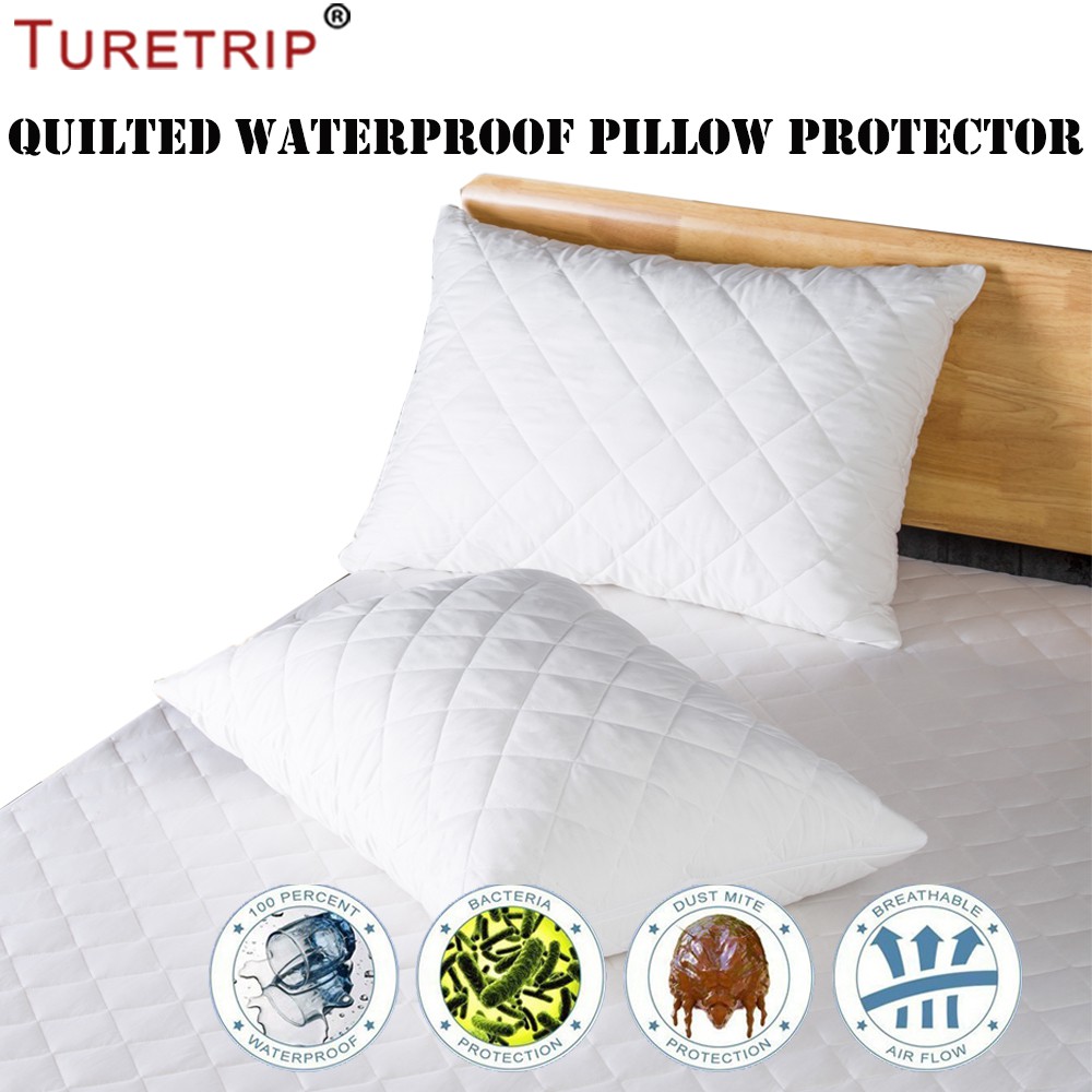 Buy 1 Get 1 Padding Pillow Protector Soft Zipper Style Waterproof