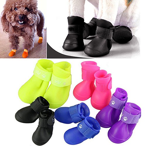 dog rain boots