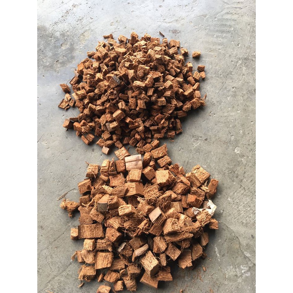 100 Natural Coco Chips/Cubes/Chunks Shopee Philippines