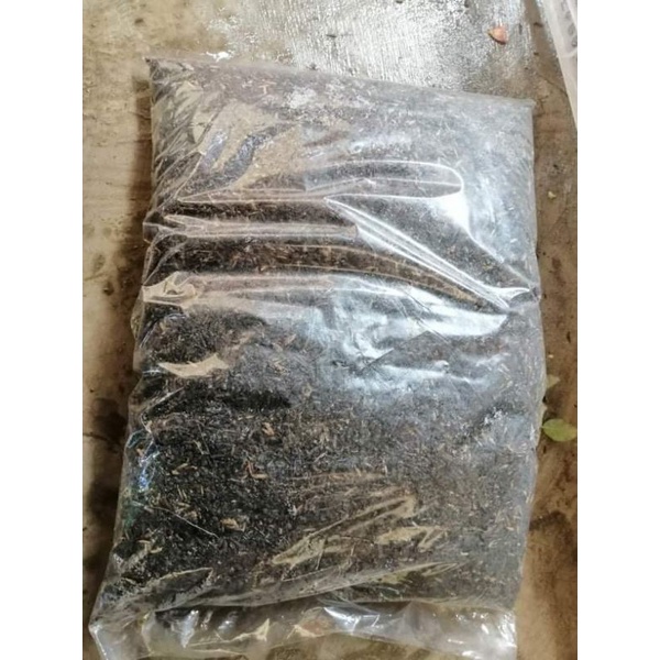 Soil Potting Mix (Garden Soil, Rice Hull, Carbonized Rice Hull, Coco