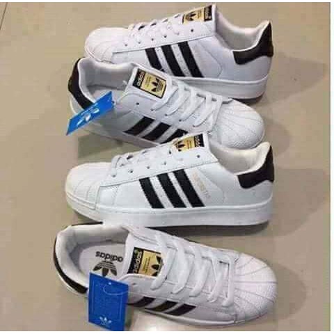 adidas superstar couple