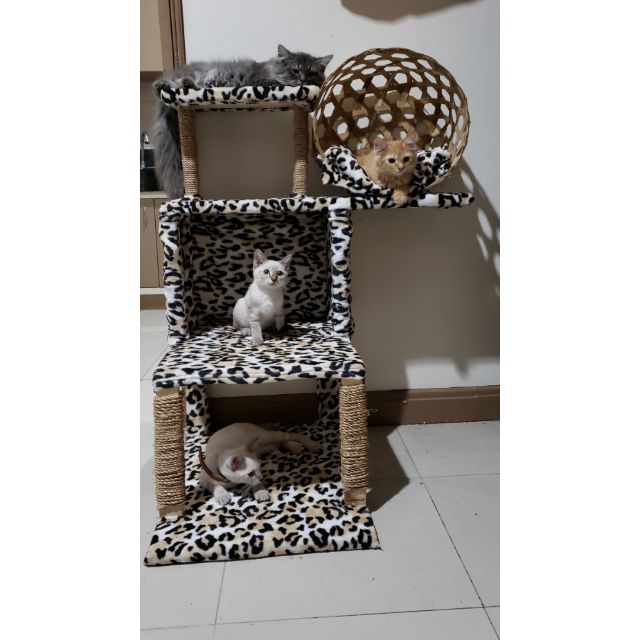 shopee cat tree