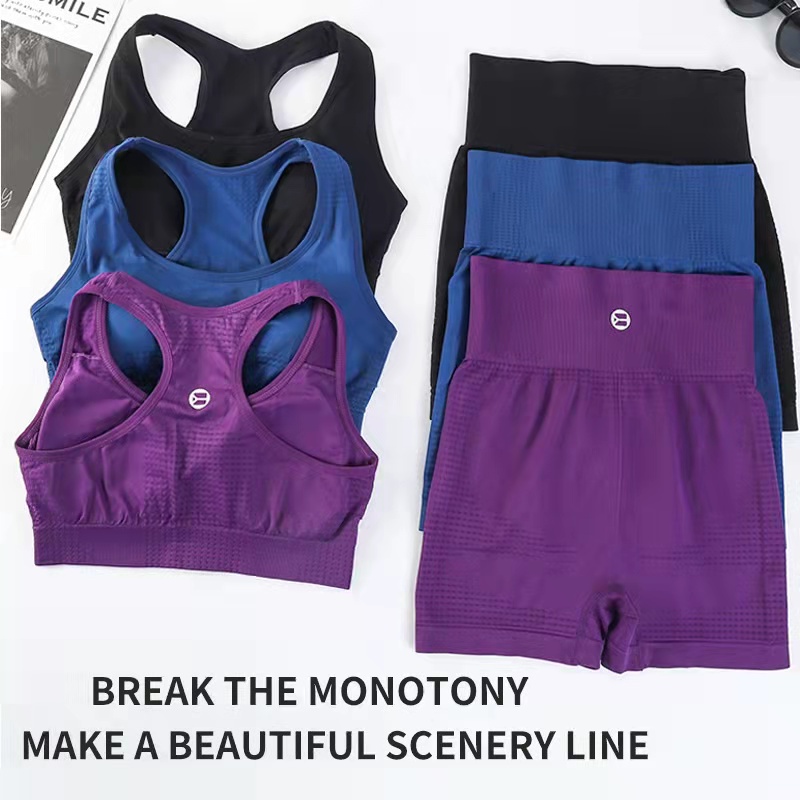 Enna Sports Sets Sports Bras and high waist Shorts Yoga Running Fitness for women 211 - Image 3