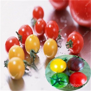 Hot Sale! 500 Pcs Rare Mini Cherry Tomato Plant seeds, Balcony Sweet Fruits Vegetables Potted Bonsai #8