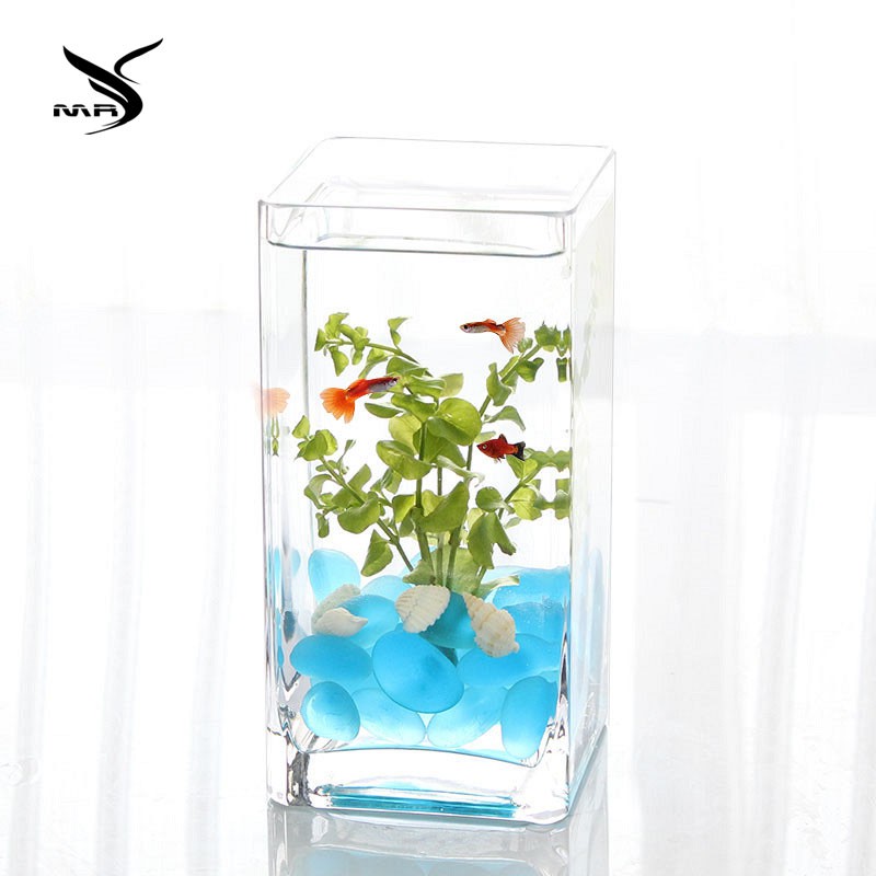 square fish tank small