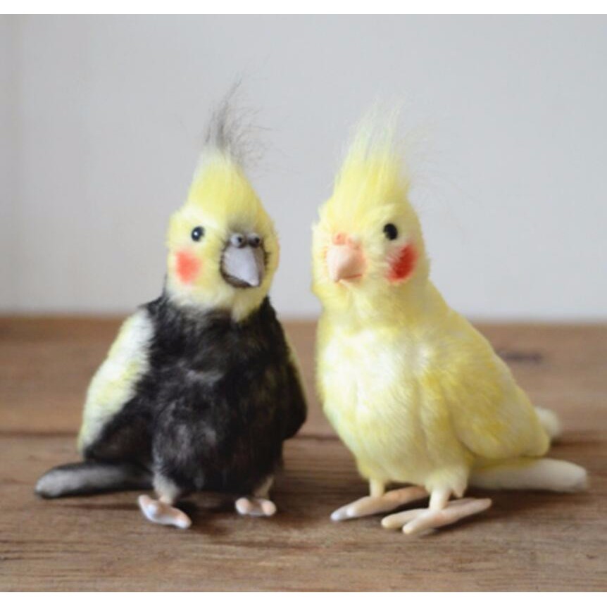 cockatiel plush toy