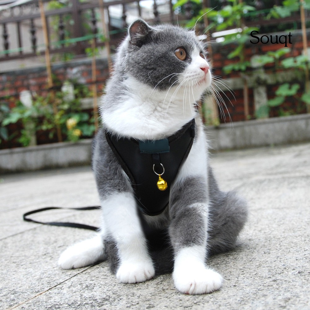 SQ Adjustable Dog Cat Kitten Harness Puppy Vest Leash Chest Strap Set Pet Supplies #3