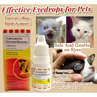 TOBRASON EYEDROPS FOR CATS DOGS PETS ANIMALS Tobramycin+Dexamethasone