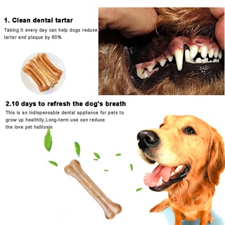 （Hot sale）TERKE Cowhide Bones Pet Tooth Grinding Stick Dog Toys Bones Pet Chew Toothbrush Small Larg #6