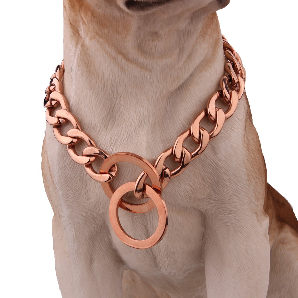 flat link chain dog collar