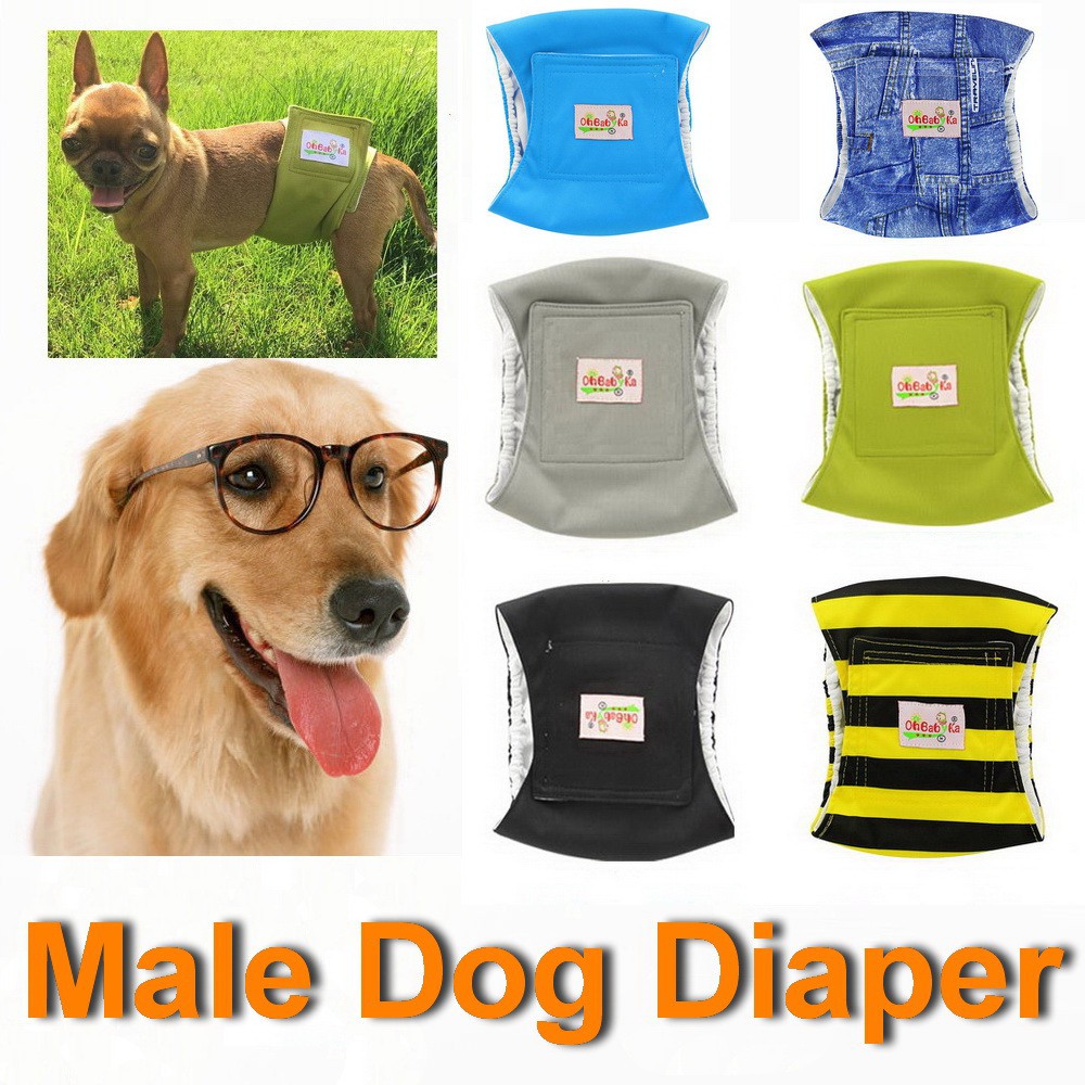 dog nappies male