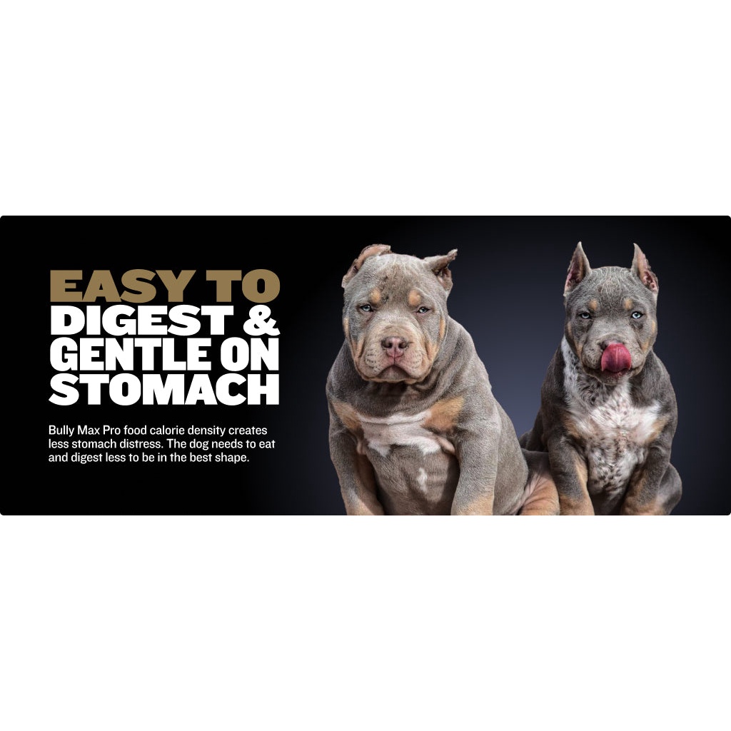 Is Bully Max A Good Dog Food