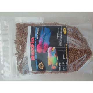 Maxflo guppy Fish Food Crumble and Fry Mash/betta fish food/probiotics with freebies #9