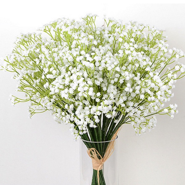 gypsophila Best Prices and Online Promos Feb 2023 Shopee Philippines