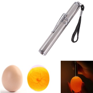 1pcs Incubator Egg Candling Lamp LED Super Cold Equipment Stainless Steel Mini Poultry Incubation Flashlight（No battery）
