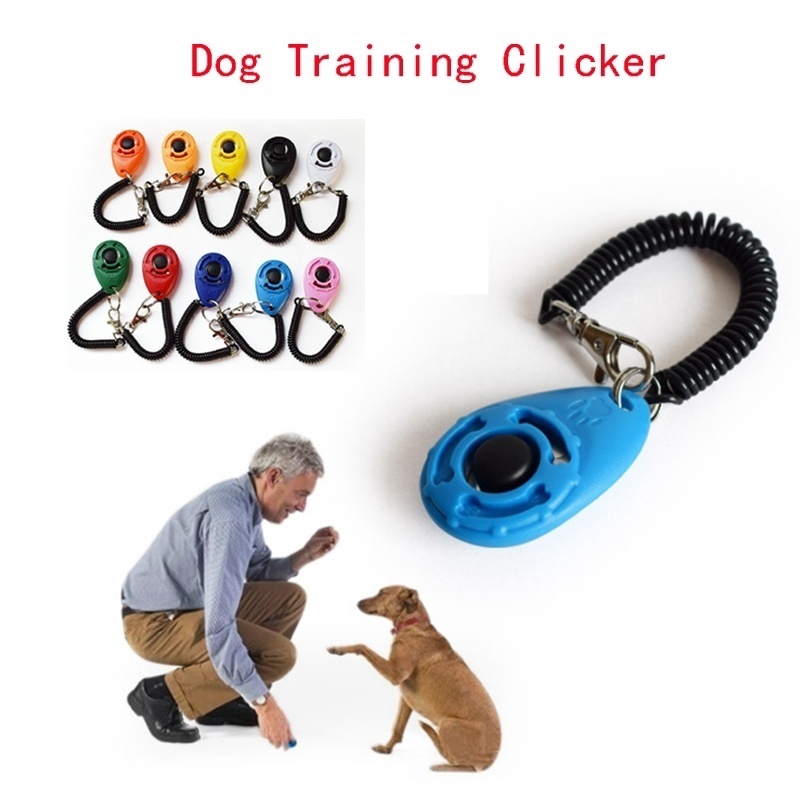 essential dog supplies