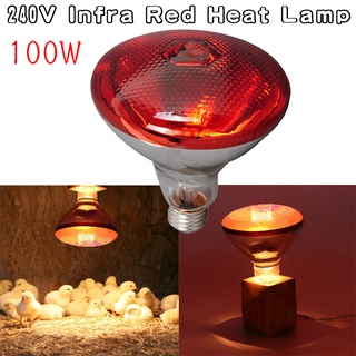 2021 HOT Preservation Heat Lamp Thermal Lamp Red Infrared Short Wave Farm Piggy Heat Light Bulb