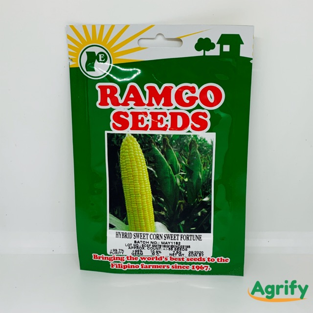 Hybrid SweetCorn Fortune Seeds 40 seeds Corn Mais Binhi Buto Ramgo