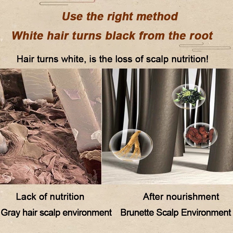 Black Hair Shampoo Oil Control hair Care Chinese herbal Anti-Hair Loss Smooth Hair