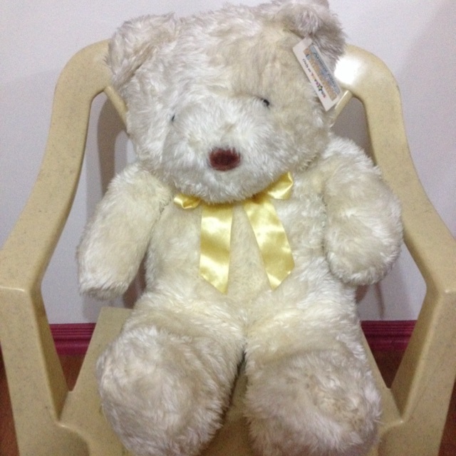 Big Teddy Bear From Toys R Us Shopee Philippines