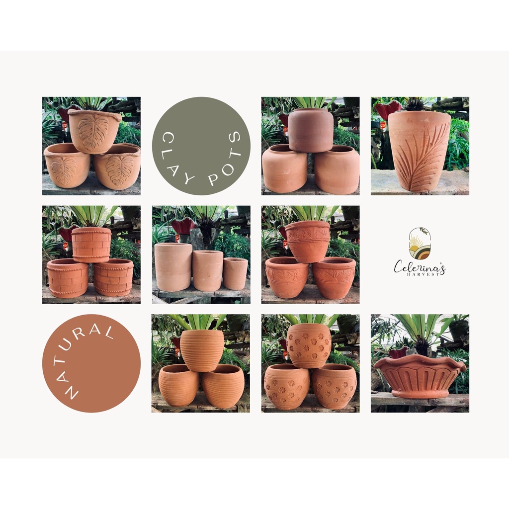 Terracotta Clay Pots Unpainted Clay Pots Garden Pots Egg Pots 9
