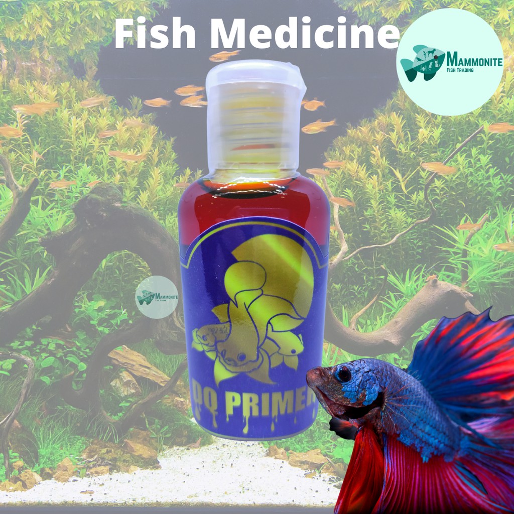 DQ Primer Advanced Fish Medicine For Bettas and All Fish 60mL Shopee