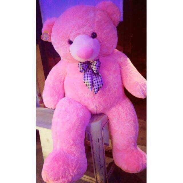 shopee teddy bear