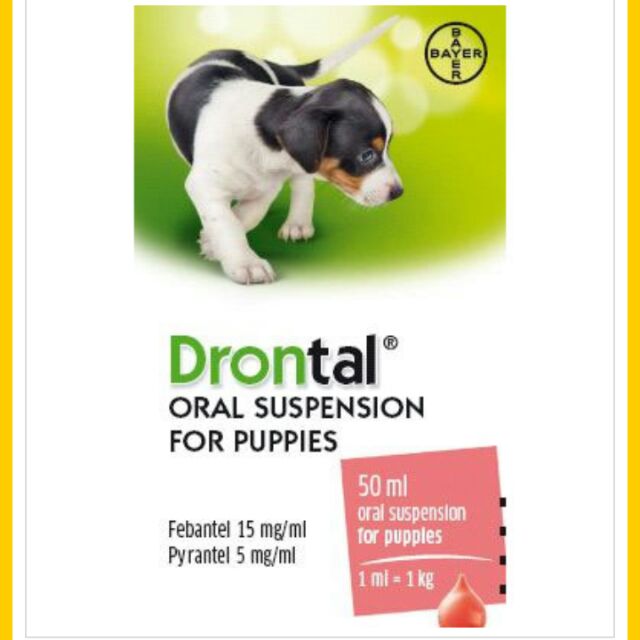 drontal puppy