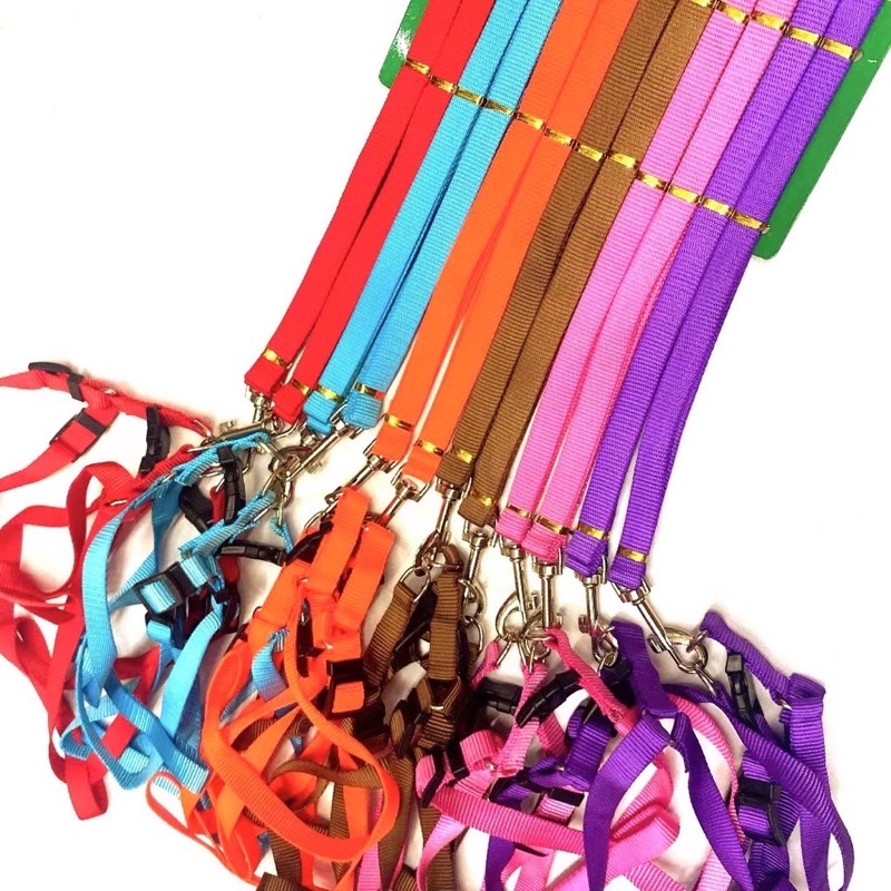 Colored Leash Harness Adjustable Leash for Dog & Cat PER PIECE Shopee