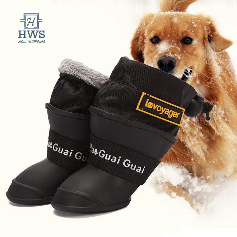 dog shoes shopee