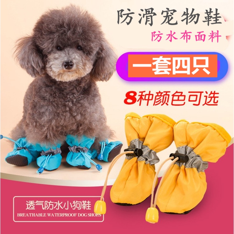 dog shoes shopee